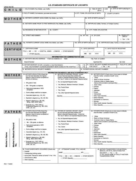 Best fake birth certificate now at buyafakediploma.com! Birth Certificate Maker - Fill Online, Printable, Fillable ...