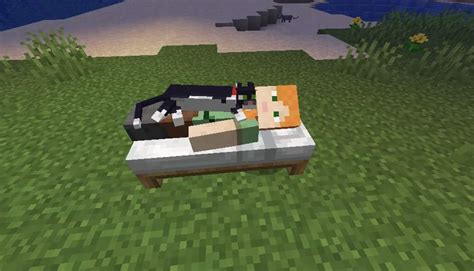 Cut a thick branch from a dead tree and scrub the tree branch with a hot, soapy, bleach water solution using a wire brush to remove remnants of insects and their nests. How To Make A Cat Bed In Minecraft
