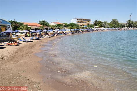 Jul 14, 2021 · hotel blue sea beach resort ii. Faliraki Rhodos | Informatie en tips Faliraki