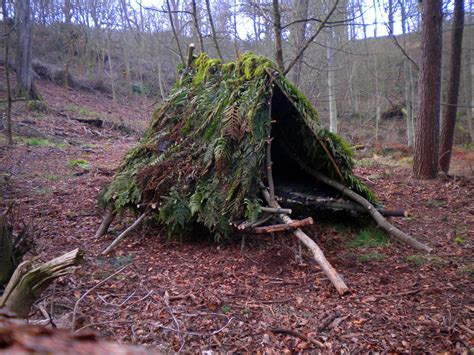 Simple Forest Shelter 1476×1107 Gleanin Pinterest Shelter