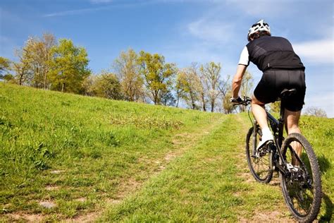 Mountain Bike Cyclist Riding Uphill Stock Photo Image Of Outdoor