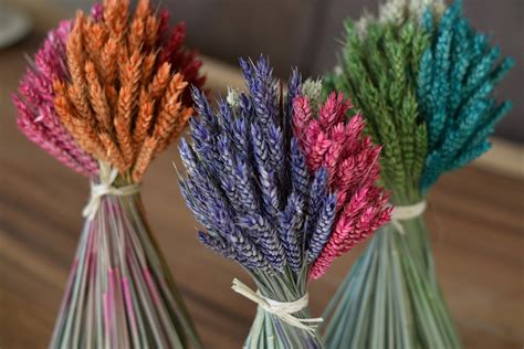 Wheat Bouquets in several colours | Dried flower bouquet ...