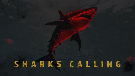 Sharks Calling Youtube