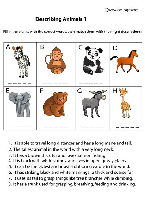 Describing Animals 1 Exercises To Practice English Course Studocu