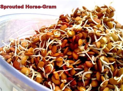 Once cooking the horse gram, from the strained water, we can prepare the rasam or soup of it. Make Horse Gram Part of Your Daily Diet for Easy Weight ...