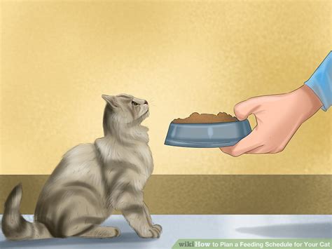 It's not only about nutrition, it's also about creating habits and teaching your puppy below you will find a puppy feeding chart by weight as well as how many times your puppy should eat depending on his age. 3 Ways to Plan a Feeding Schedule for Your Cat - wikiHow