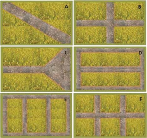 Different Types Of Trenches In Usage For Rice Aquaculture Integrated
