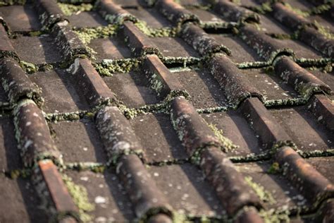 4 Signs Of Mold On The Roof Ventura Roofing Company Inc