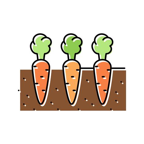 Garden With Growing Carrot Color Icon Vector Illustration 18998422