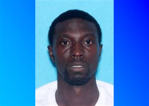 UPDATE: 35-year-old man arrested for murder of woman found in Pell City