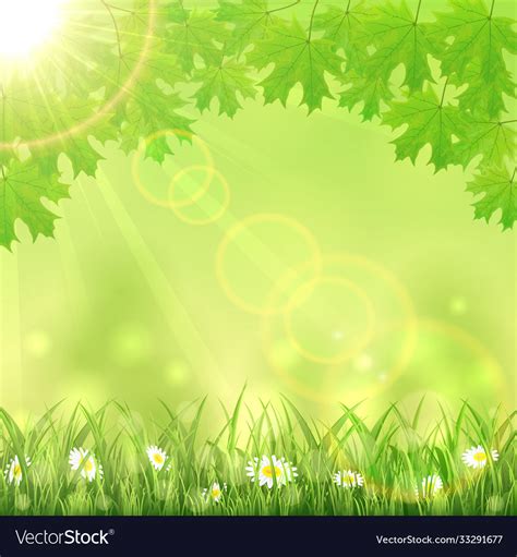 Summer Green Nature Background Royalty Free Vector Image