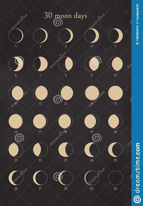 Moon Phases Set 30 Moon Days Calendar Collection Of Design Elements
