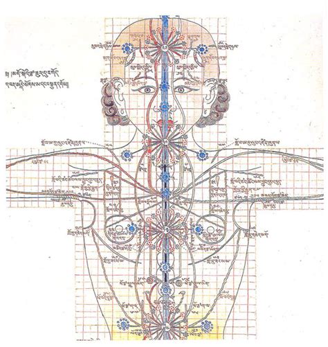 Carry blood towards the heart (usually deoxygenated blood, except for the pulmonary vein). Edward Tufte forum: Mapped pictures: image annotation