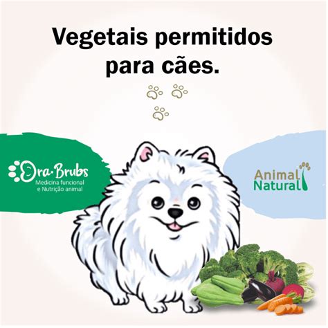 Vegetais Permitidos Para CÃes Animal Natural