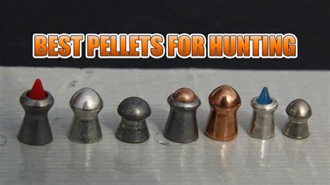 Best Airgun Pellets For Hunting Madman Review Youtube