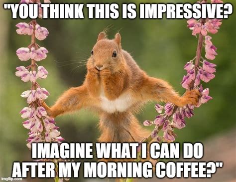 Humour Squirrel You Think This Is Impressive Imagine What I Can Do After My Morning Coffee
