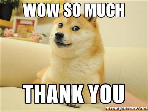 collection of funniest thank you meme for you