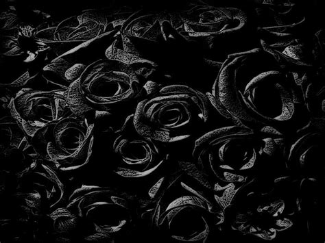 Dark Rose Wallpapers Wallpaper Cave