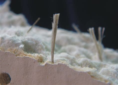 I do worry that it might be asbestos and they just drilled holes in it to put some canned lighting in, meaning it might already be a bit frayed. Amosite Asbestos Ceiling Tile | Flickr - Photo Sharing!