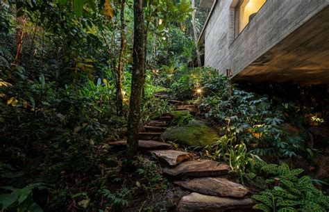 Jungle House Paulista Brazil Studio Mk27 In 2020 Jungle House