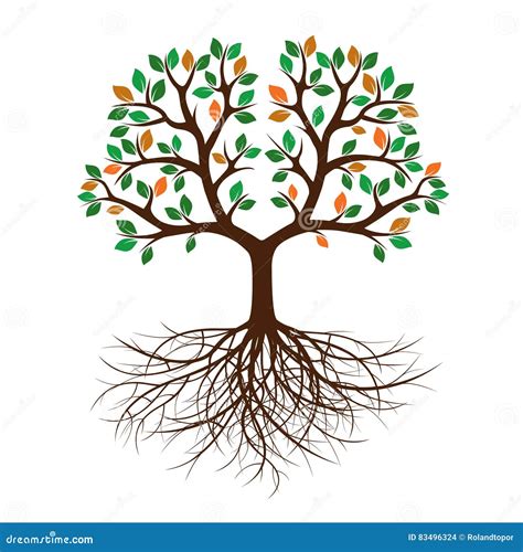 Color Tree With Leafs And Roots Vector Illustration Stock Vector