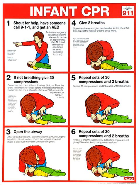 Infant Cpr First Aid Wall Chart Poster Aha Guidelines Fitnus Corp