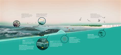 Living Breakwaters Design And Implementation Scape