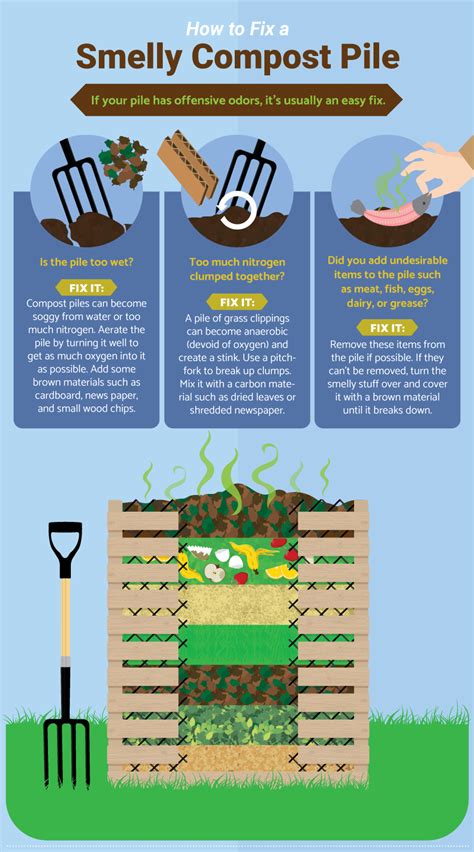 How To Compost At Home A Beginners Guide To Diy Fertilizer Garden