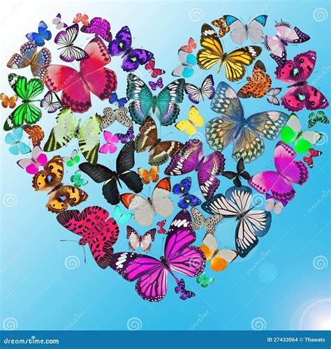 Heart Of The Butterflies Stock Photo Image Of Flirting 27433064