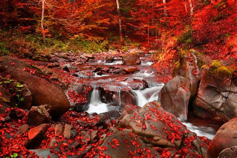 Beautiful Waterfall In Autumn Rocks And Stones In Autumn Stock Image