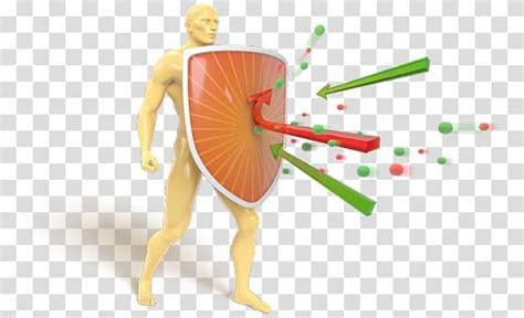 How to Boost Your Immune System Dietary supplement Immunity Disease