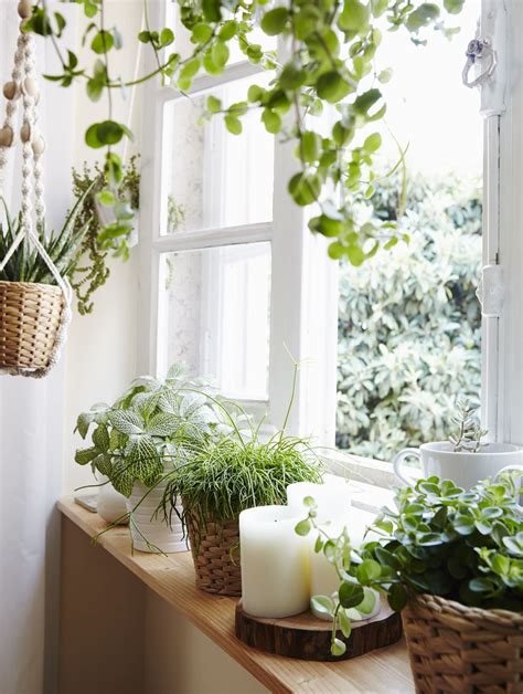 Home Visit How To Grow A Window Garden Indoor Window Garden Garden