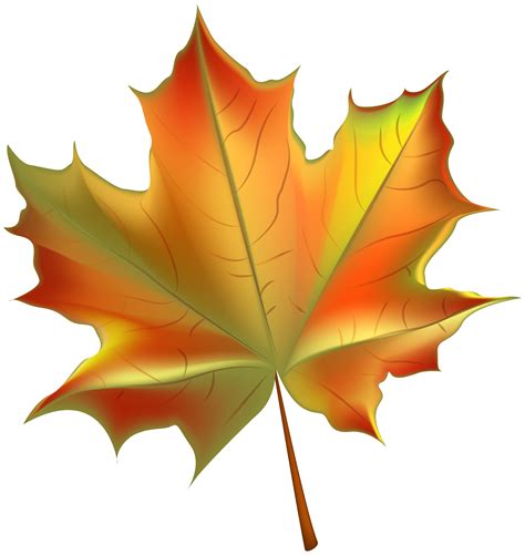 Clipart Autumn Leaf