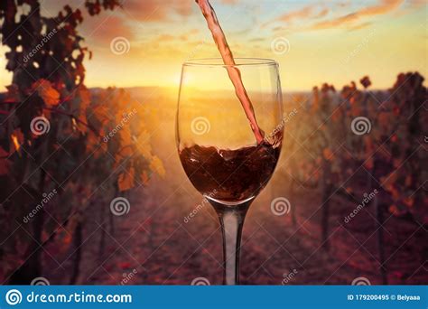 Beautiful Sunset Over Vineyards With Glass Of Wine Stock Image Image