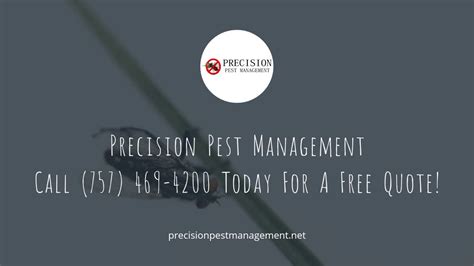 Virginia beach, va pest control professionals are experts at protecting your home and family if you have a current pest problem, you've probably looked into different treatment types. Precision Pest Management - Pest Control Service in ...