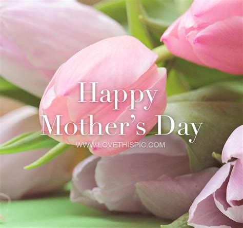 Pink Tulips Happy Mothers Day Quote Pictures Photos And Images For