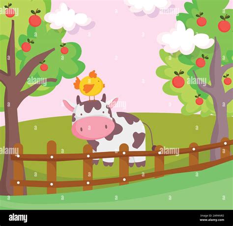 Cow With Chicken In Head Fence And Fruits Trees Farm Animal Cartoon