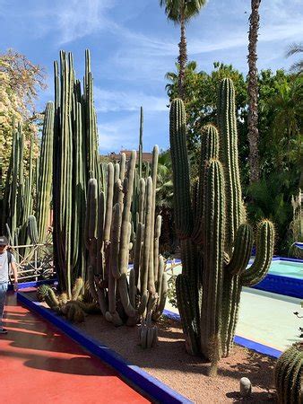 You'll see local berber villages and. Jardin Majorelle (Marrakech) - 2019 All You Need to Know ...