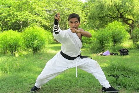 Martial Arts Training Kung Fu Coach In Delhi And Ncr
