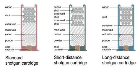 Shotgun Shell Diagram