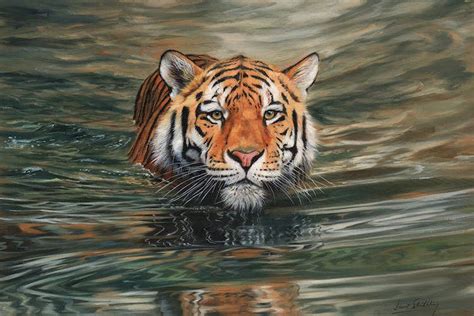 Tiger Water Front Canvas Art Print By David Stribbling ICanvas