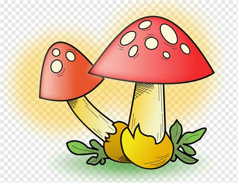 Aprender Acerca Imagem Dibujos Del Reino Fungi Thptletrongtan Edu Vn