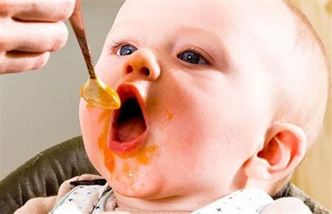¿cómo Debe Ser La Alimentación Del Bebé En Sus Primeros Mil Días