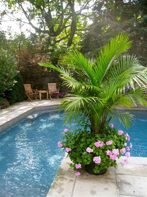 Front Yard Landscaping Ideas With Small Palm Tree