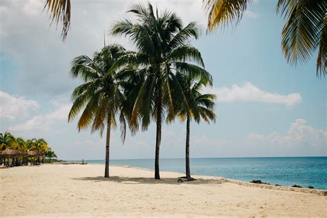 Free Images Beach Sea Coast Tree Sand Ocean