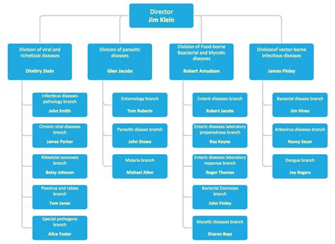 Organizational Structure Of Bmw Company