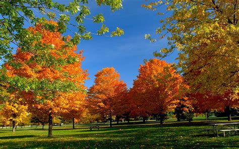 Beautiful Autumn In The Park Reflection Trees Beautiful Autumn