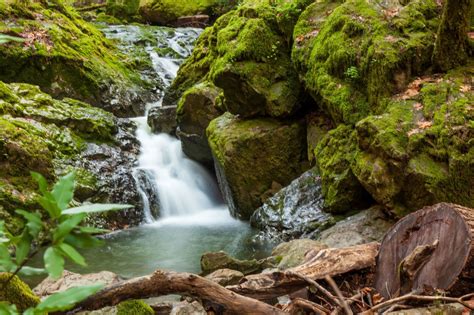 Cataract falls (indiana) in owen county, indiana. Cataract Falls Trail - California | AllTrails