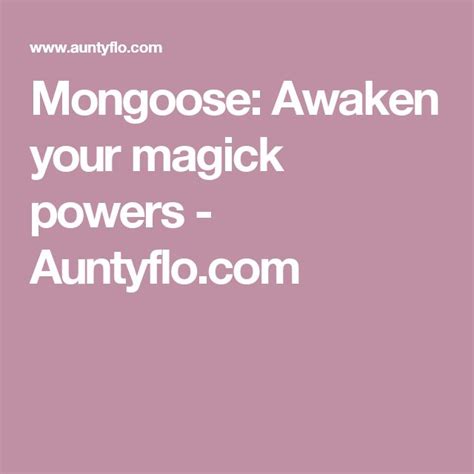 Mongoose Awaken Your Magick Powers Fruit Flies