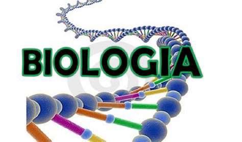 Biología Básica ¿que Es Una Adaptación